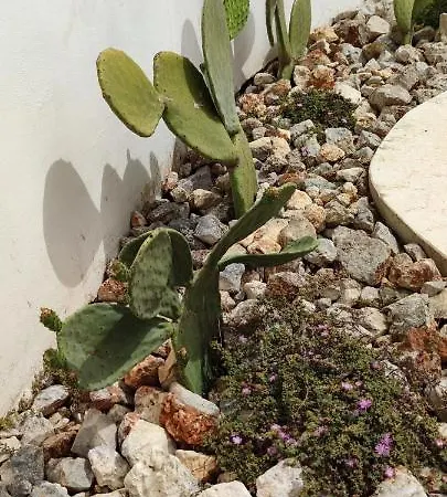 Casa Gorgole Ostuni