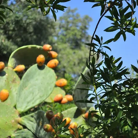 Casa Gorgole Apartment *