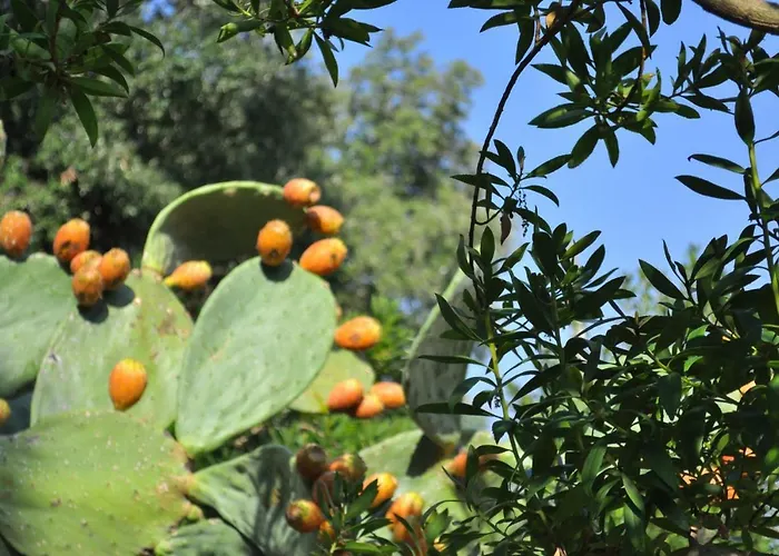 Casa Gorgole Apartment *